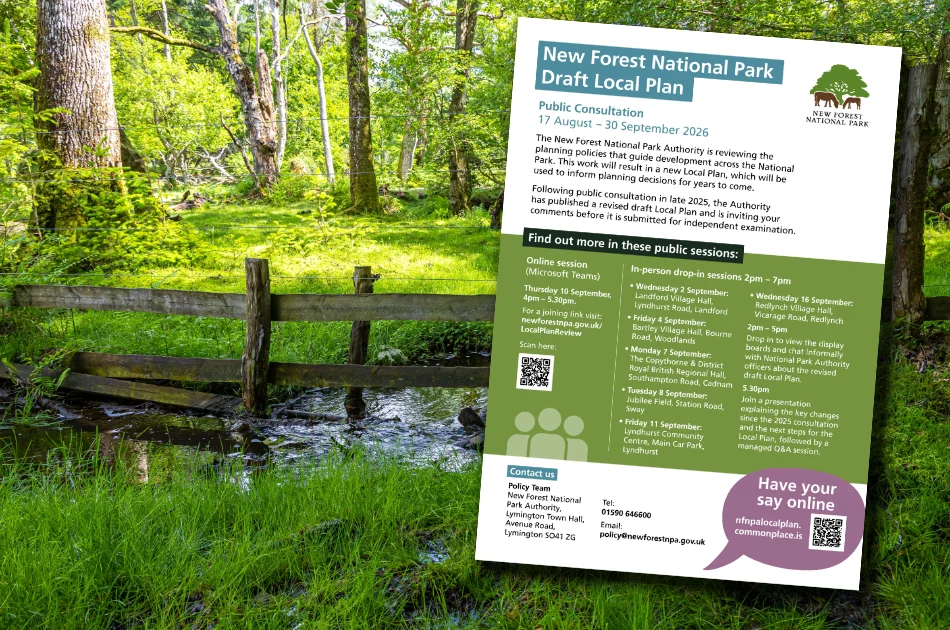 A draft local plan poster for New Forest National Park stands in front of a lush, green forest with a small stream running through it. Sunlight filters through the trees onto the water and grass.